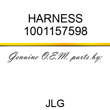 HARNESS 1001157598