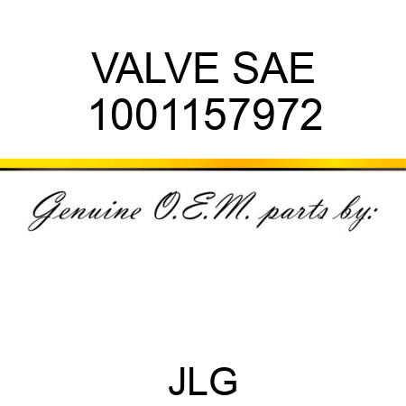 VALVE SAE 1001157972