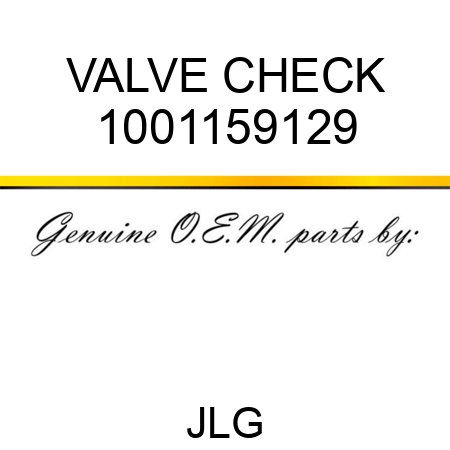 VALVE CHECK 1001159129