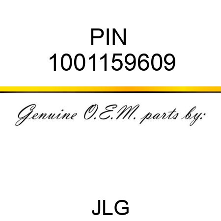 PIN  1001159609