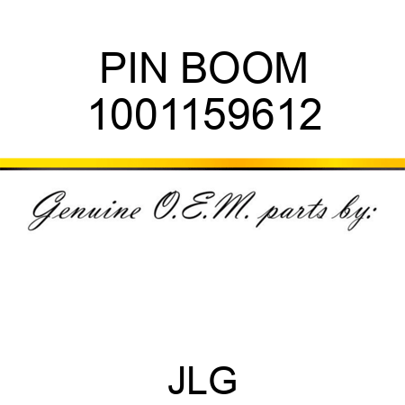 PIN BOOM 1001159612