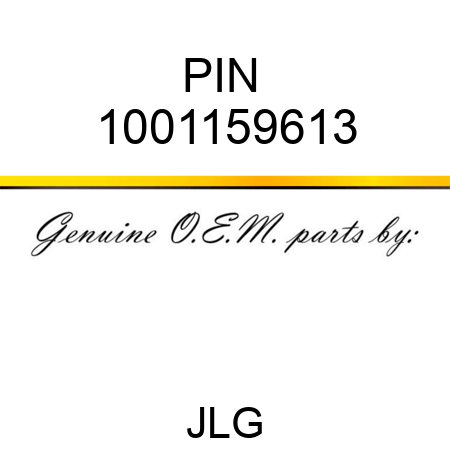 PIN  1001159613