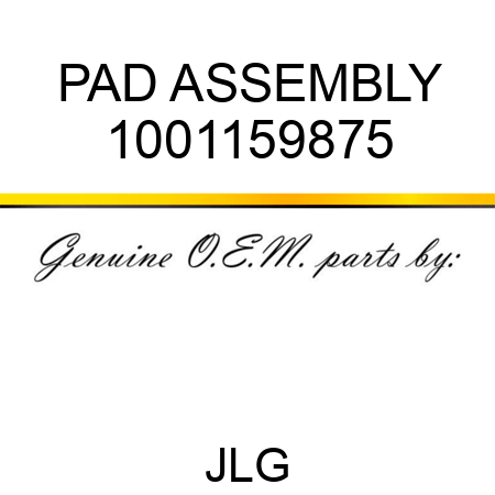 PAD ASSEMBLY 1001159875