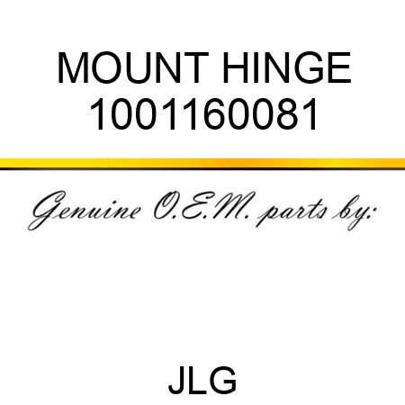 MOUNT HINGE 1001160081