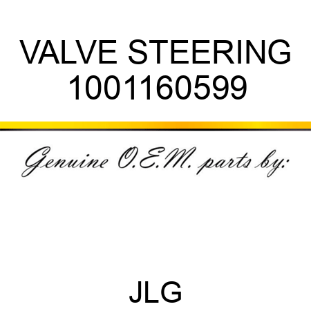 VALVE STEERING 1001160599