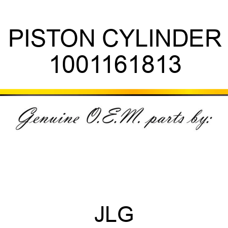 PISTON CYLINDER 1001161813