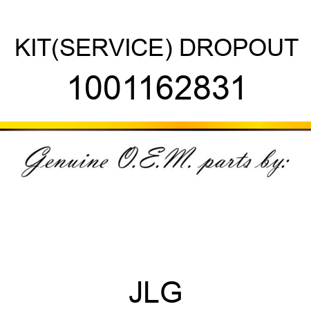 KIT(SERVICE) DROPOUT 1001162831