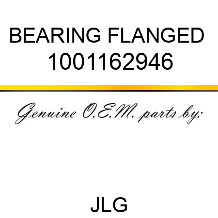 BEARING FLANGED  1001162946