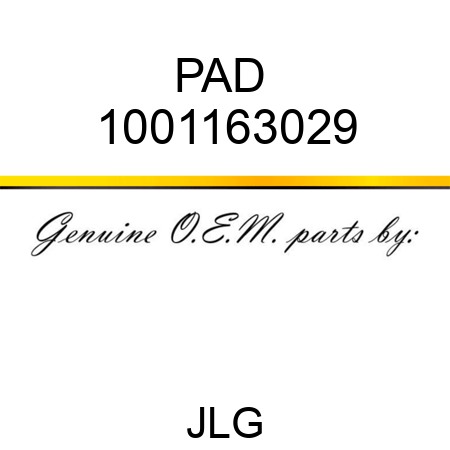 PAD  1001163029