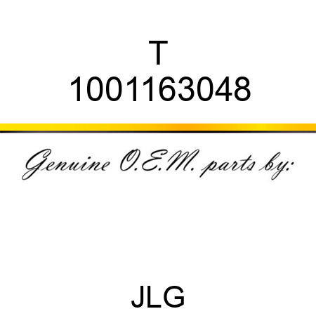 T 1001163048