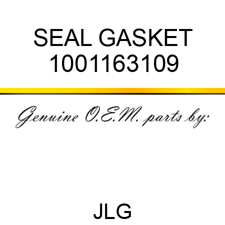 SEAL GASKET 1001163109