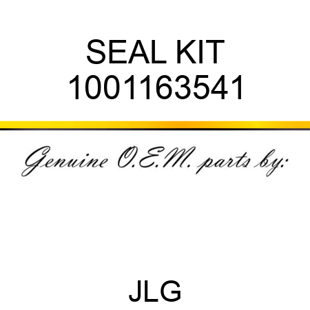 SEAL KIT 1001163541