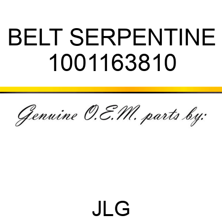 BELT SERPENTINE 1001163810