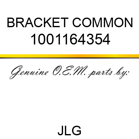 BRACKET COMMON 1001164354