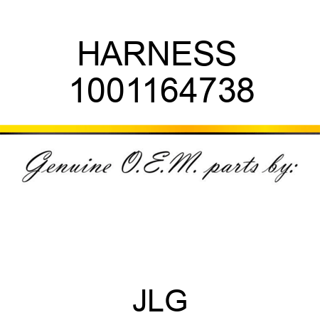 HARNESS  1001164738