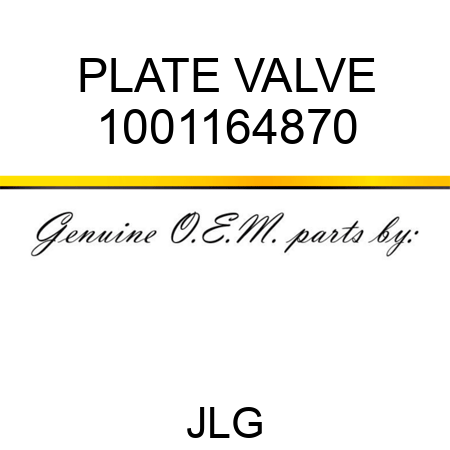 PLATE VALVE 1001164870