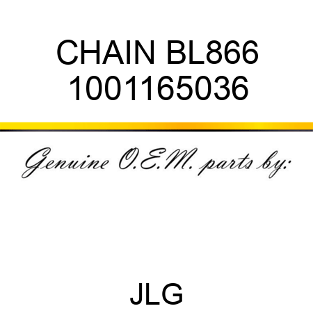 CHAIN BL866 1001165036
