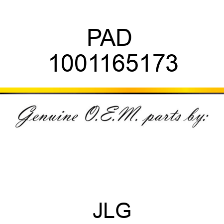 PAD  1001165173