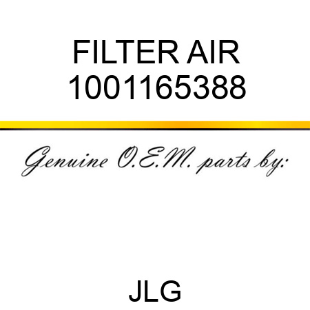 FILTER AIR 1001165388