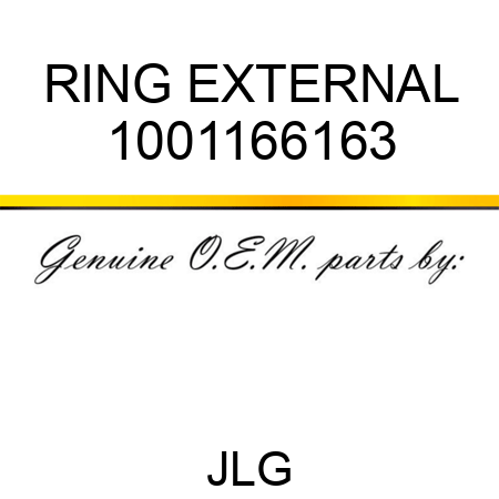 RING EXTERNAL 1001166163