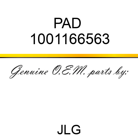 PAD  1001166563