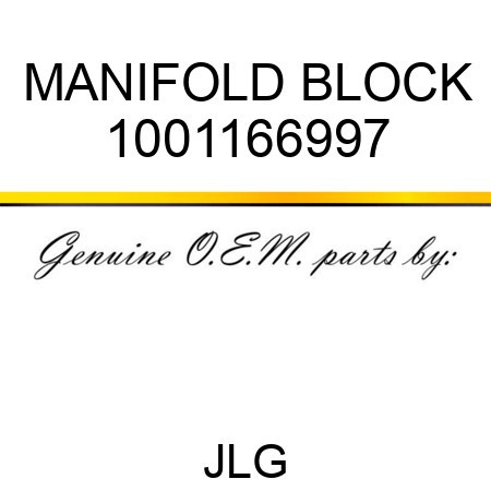 MANIFOLD BLOCK 1001166997