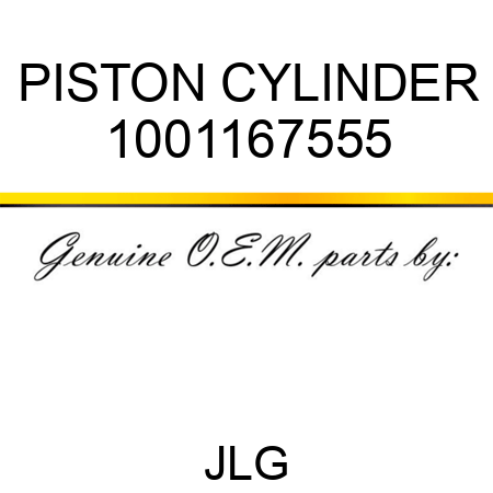 PISTON CYLINDER 1001167555