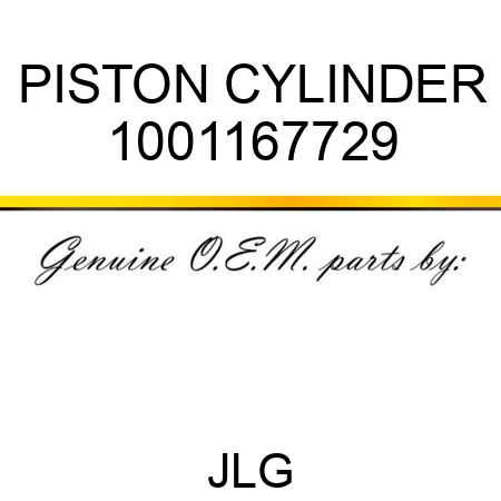 PISTON CYLINDER 1001167729