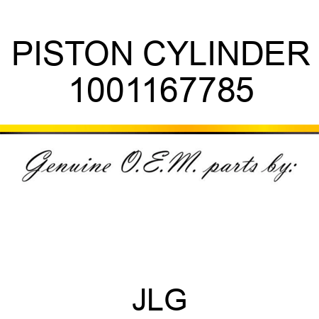 PISTON CYLINDER 1001167785