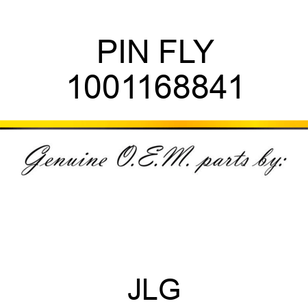 PIN FLY 1001168841