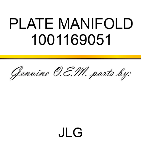PLATE MANIFOLD 1001169051