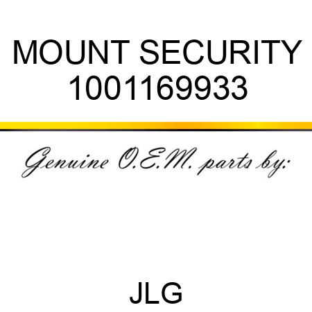 MOUNT SECURITY 1001169933