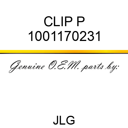 CLIP P 1001170231