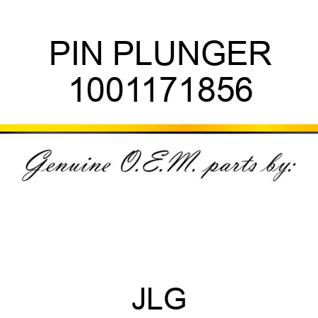 PIN PLUNGER 1001171856