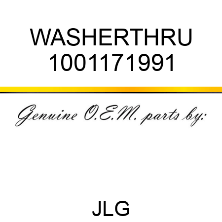 WASHERTHRU 1001171991