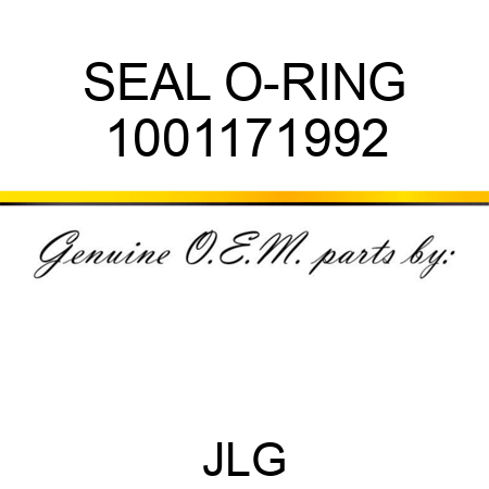 SEAL O-RING 1001171992