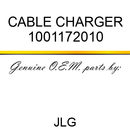 CABLE CHARGER 1001172010