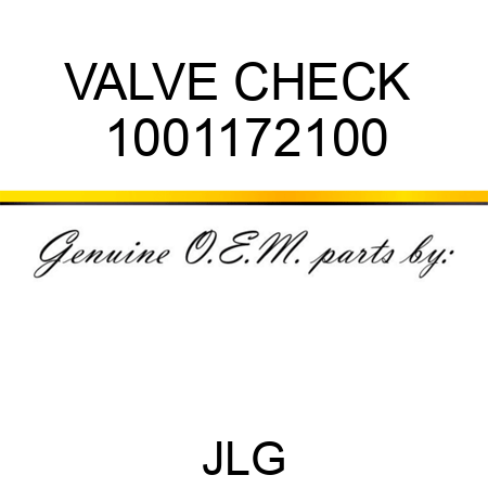 VALVE CHECK  1001172100
