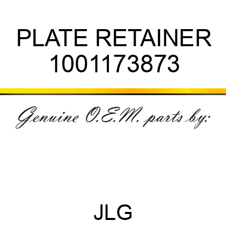 PLATE RETAINER 1001173873