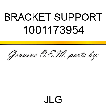 BRACKET SUPPORT 1001173954