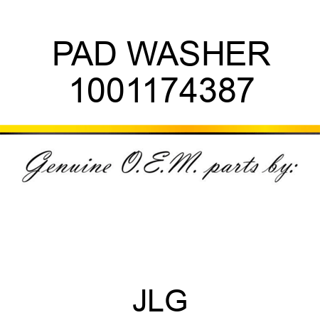PAD WASHER 1001174387