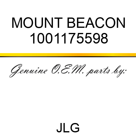 MOUNT BEACON 1001175598