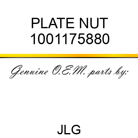 PLATE NUT 1001175880