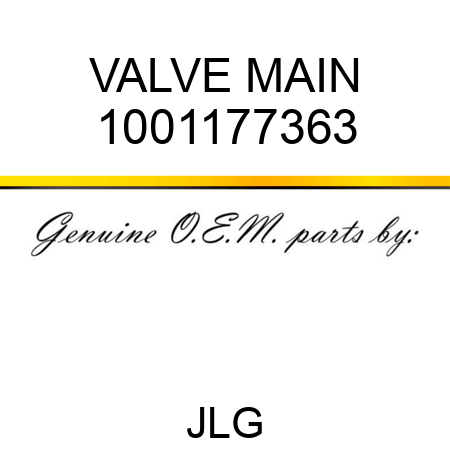 VALVE MAIN 1001177363