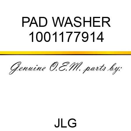PAD WASHER 1001177914