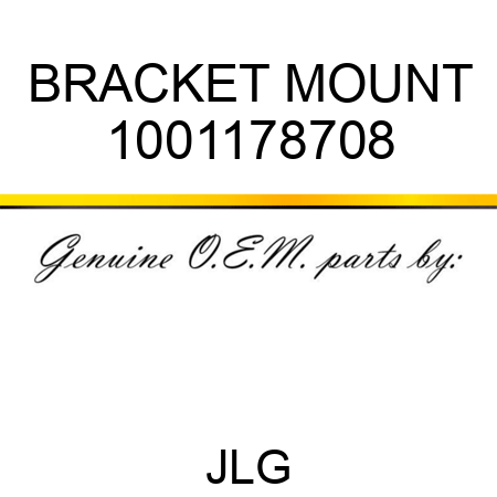 BRACKET MOUNT 1001178708