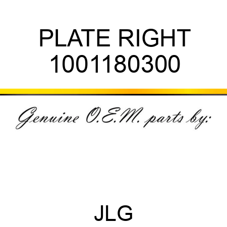 PLATE RIGHT 1001180300