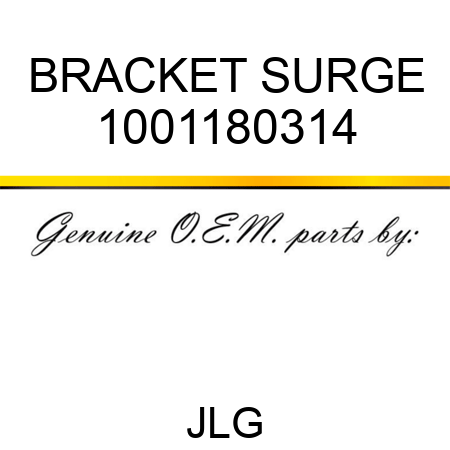 BRACKET SURGE 1001180314