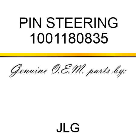 PIN STEERING 1001180835