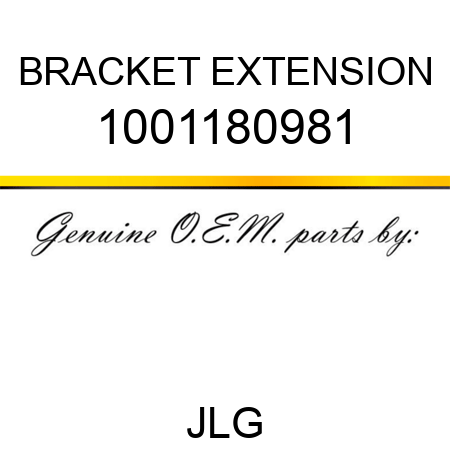 BRACKET EXTENSION 1001180981